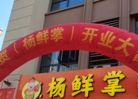 杨鲜掌VIS品牌设计