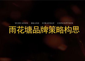 雨花塘品牌战略提案