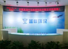 安徽蓝鼎环保能源科技有限公司